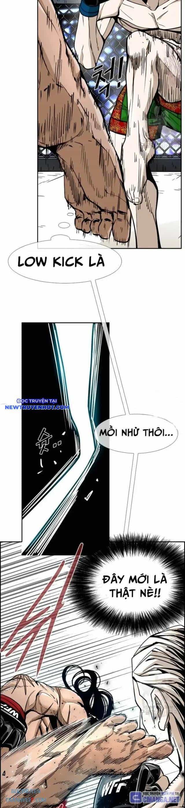 Shark - Cá Mập - Chương 244 - ảnh 31