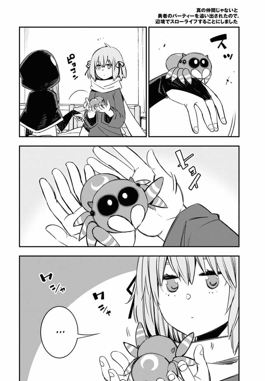 Shin No Nakama Janai To Yuusha No Party Wo Oidasareta No De, Henkyou De Slow Life Suru Koto Ni Shimashita - Chương 46 - ảnh 28