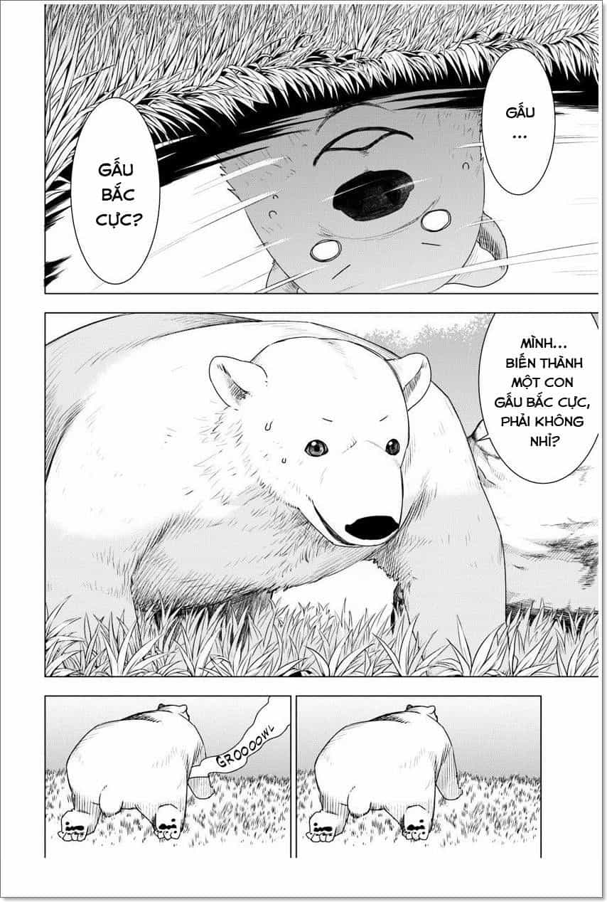 Shirokuma Tensei - Chương 1 - ảnh 24