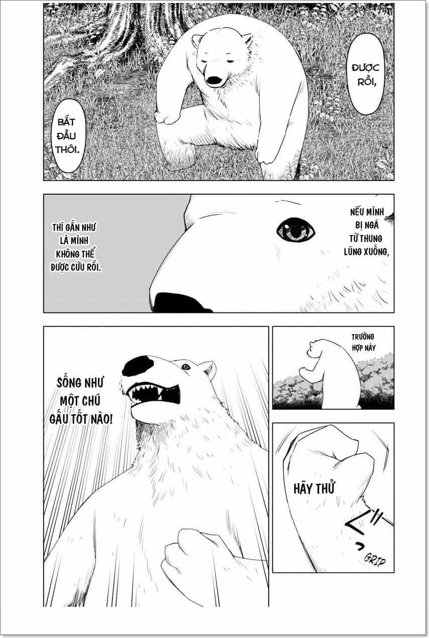 Shirokuma Tensei - Chương 1 - ảnh 25