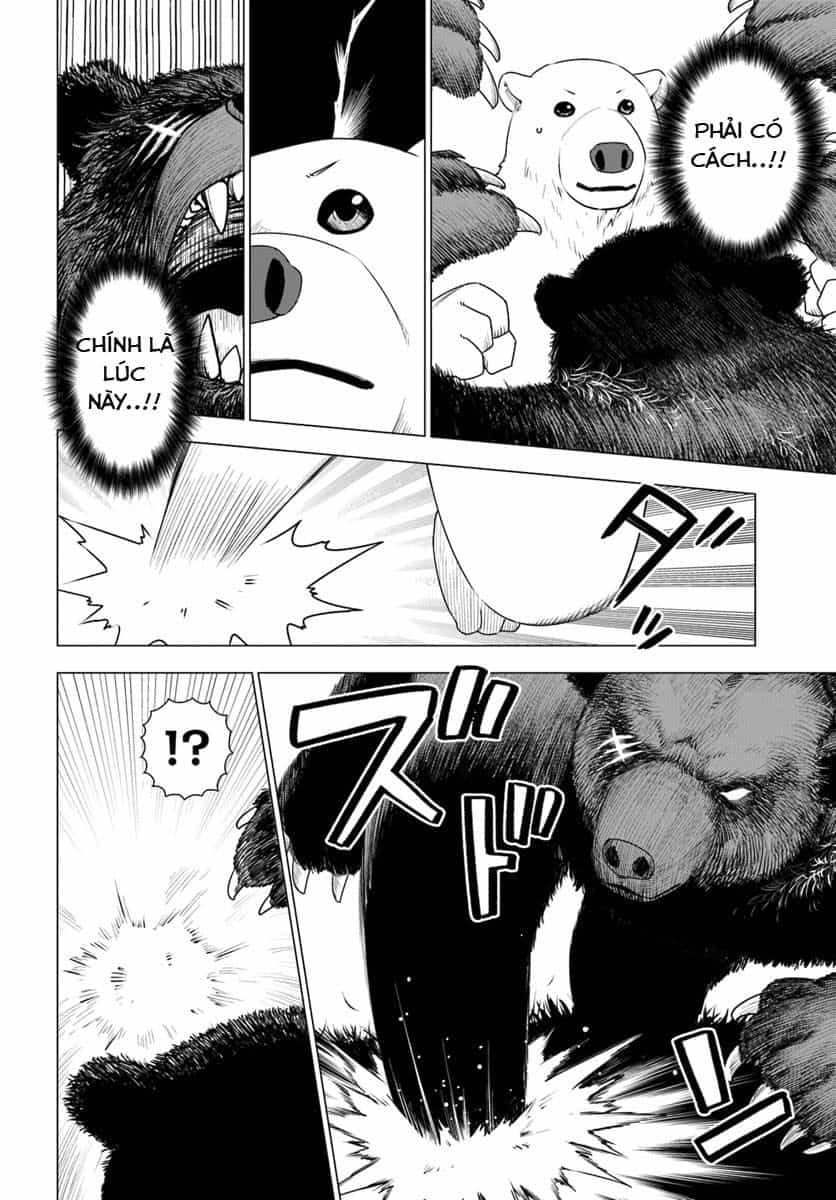 Shirokuma Tensei - Chương 6 - ảnh 6