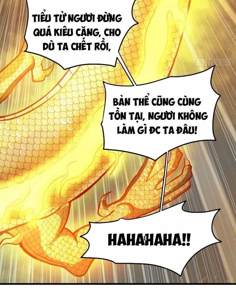 Siêu Cấp Thần Y Tại Đô Thị - Chương 84 - ảnh 28