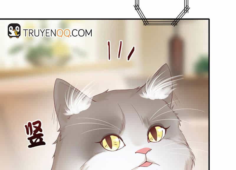 Siêu Năng Bất Lương Học Bá - Chương 7 - ảnh 75