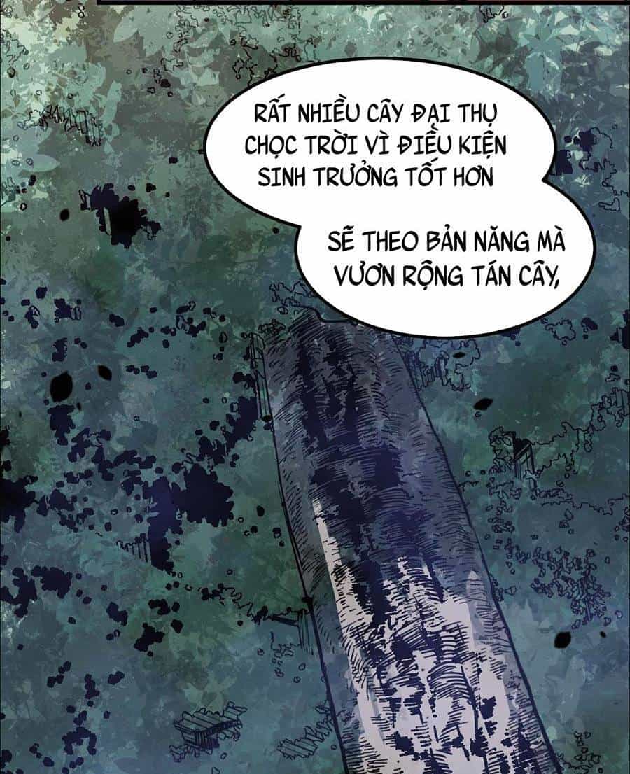 Siêu Phàm Tiến Hóa - Chương 75 - ảnh 67