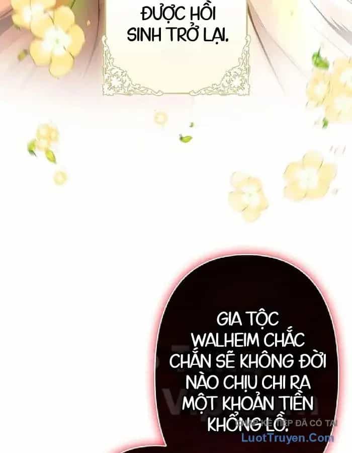 Siêu Trộm Kỹ Năng Cấp Cheat - Chương 26 - ảnh 45