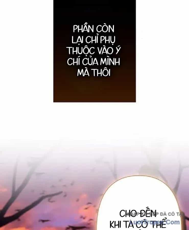 Siêu Trộm Kỹ Năng Cấp Cheat - Chương 27 - ảnh 116