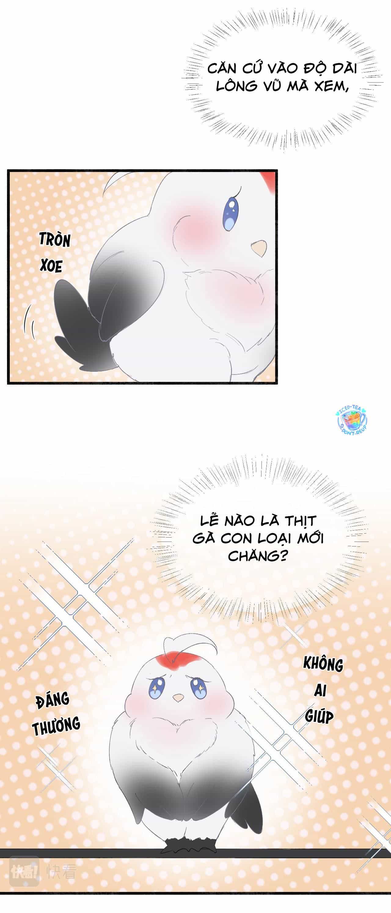 Silent Blue - Chương 12 - ảnh 14
