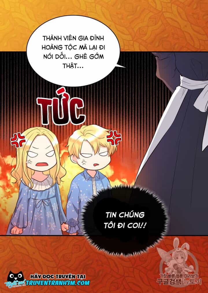 Sinh Đôi Xuyên Không - Chương 12 - ảnh 29