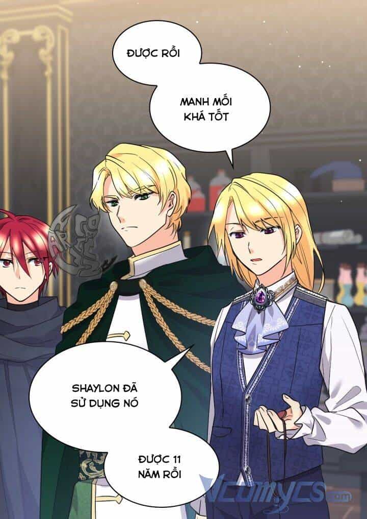 Sinh Đôi Xuyên Không - Chương 123 - ảnh 24