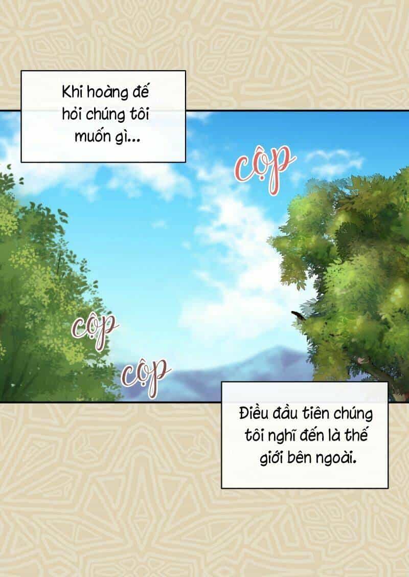Sinh Đôi Xuyên Không - Chương 63 - ảnh 23