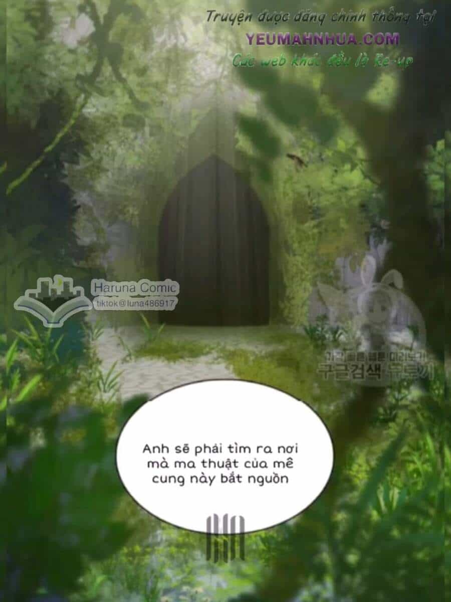 Sinh Đôi Xuyên Không - Chương 72 - ảnh 13