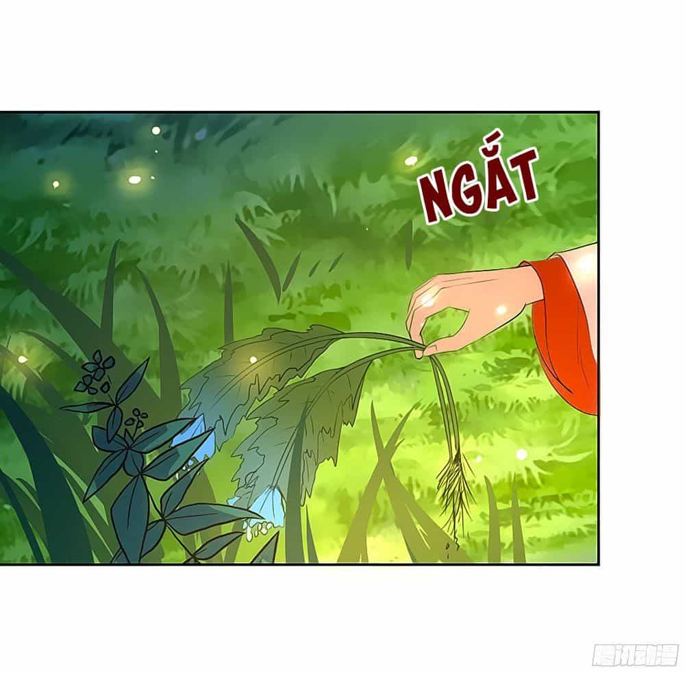 Sinh Sinh Tương Thác - Chương 35 - ảnh 29