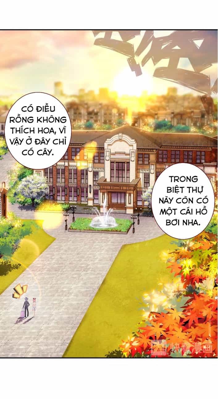 Sinh Tiêu Thủ Hộ Thần - Chương 21 - ảnh 19