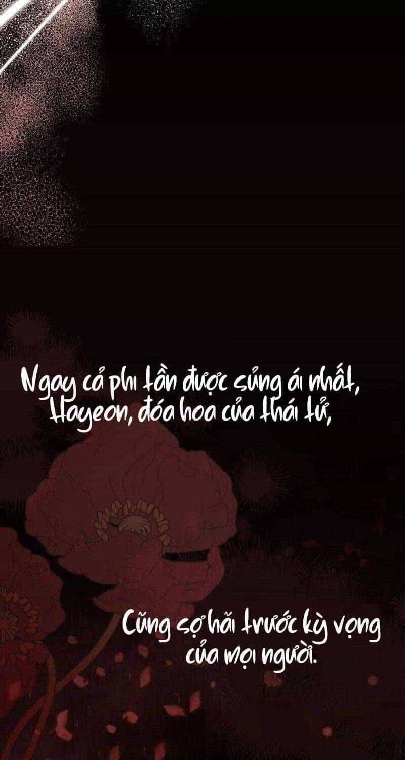 Sinh Tồn Trong Cuốn Tiểu Thuyết Romance Fantasy - Chương 11 - ảnh 57