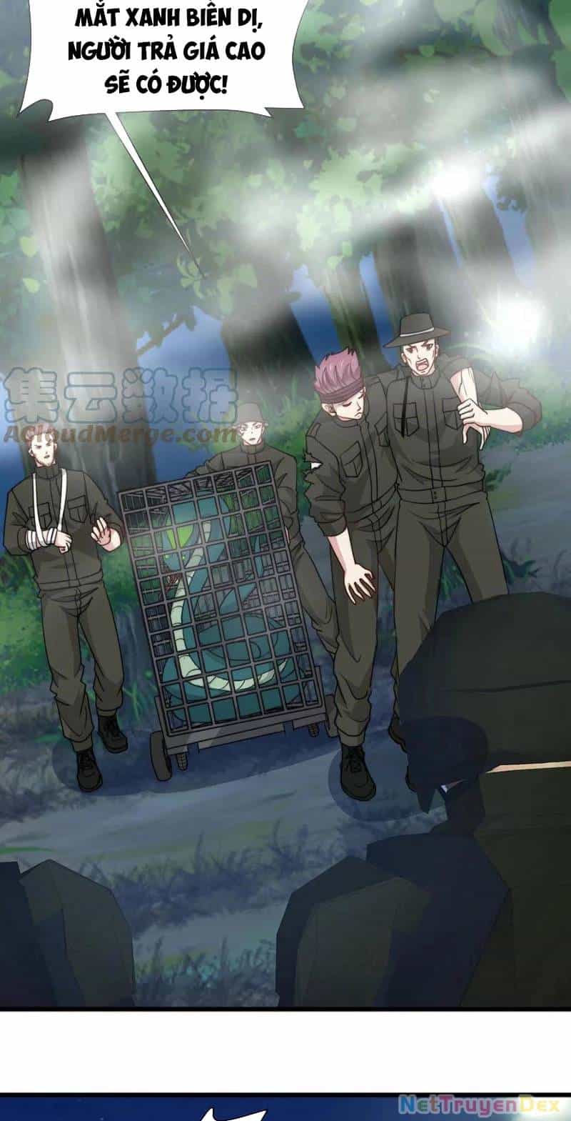Slime Ta Treo Cự Long Lên Đánh Là Hợp Lý Nhỉ? - Chương 22 - ảnh 14
