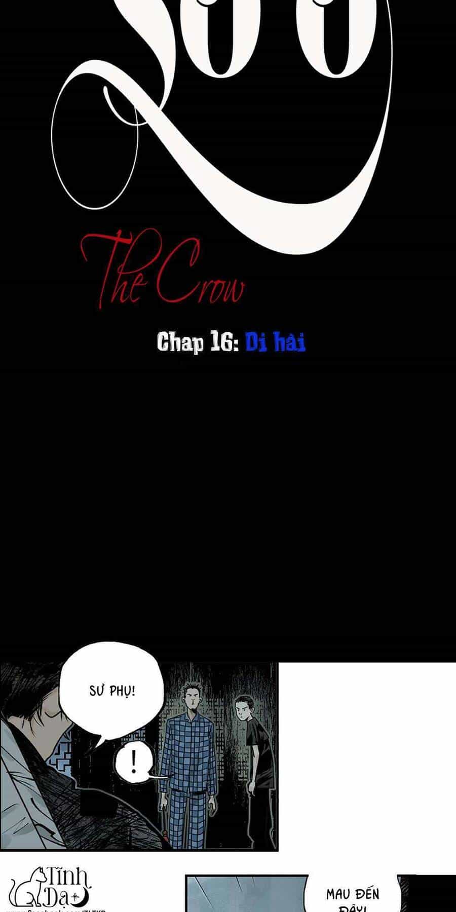 Sở Ô - Chương 16 - ảnh 7