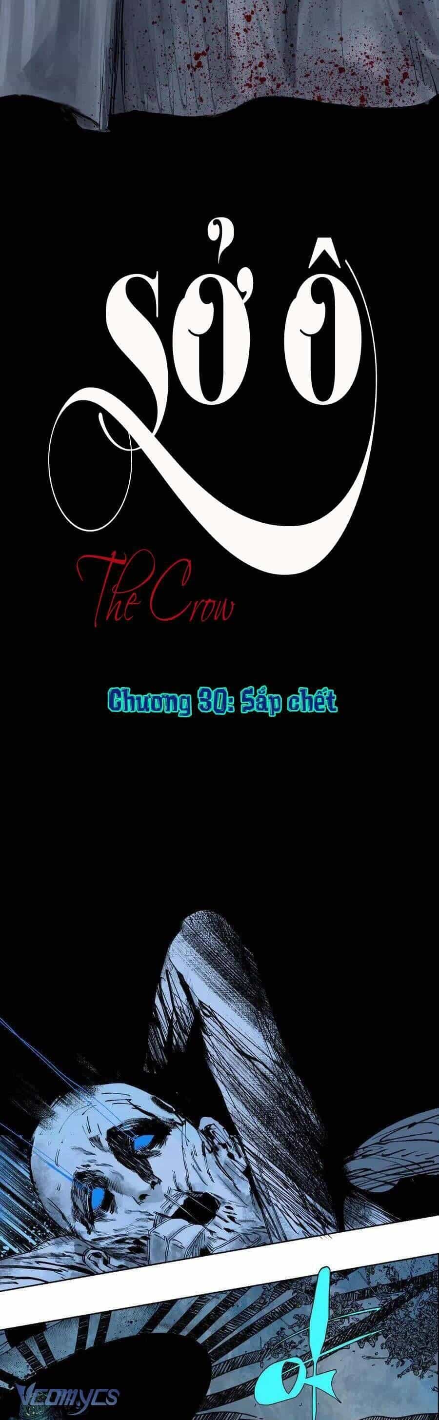 Sở Ô - Chương 30 - ảnh 2