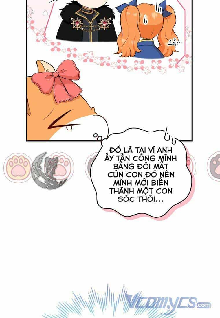 Sóc Nhỏ Tài Năng - Chương 11 - ảnh 39