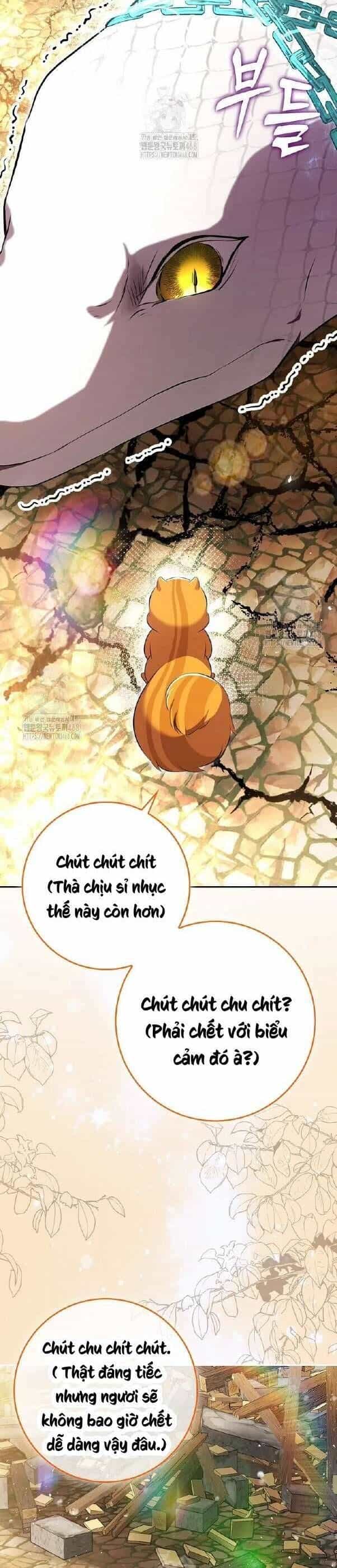 Sóc Nhỏ Tài Năng - Chương 117 - ảnh 55