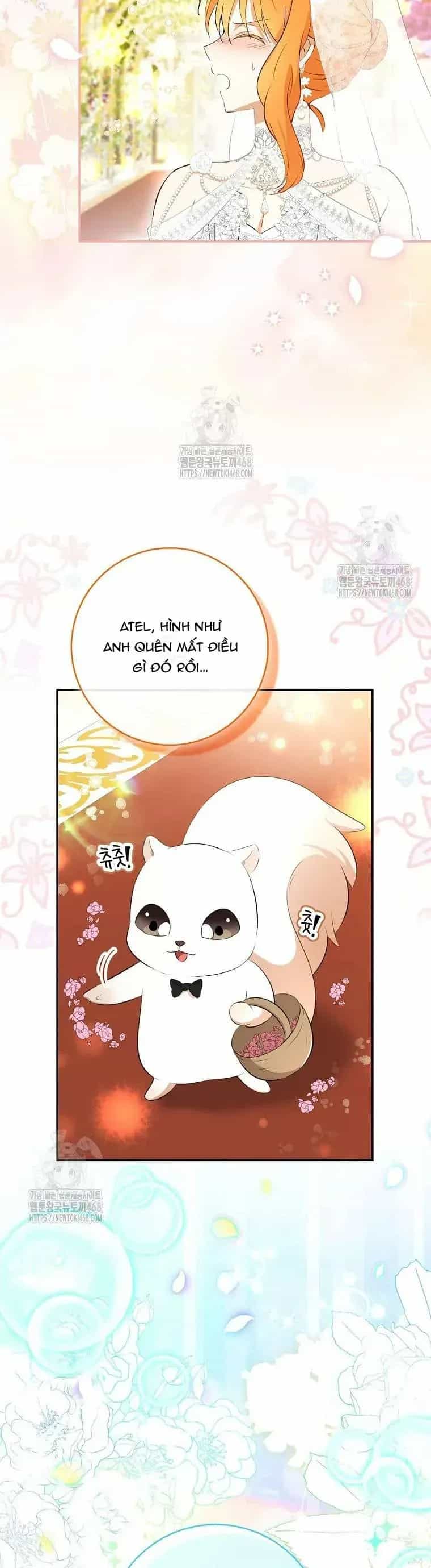 Sóc Nhỏ Tài Năng - Chương 120 - ảnh 30