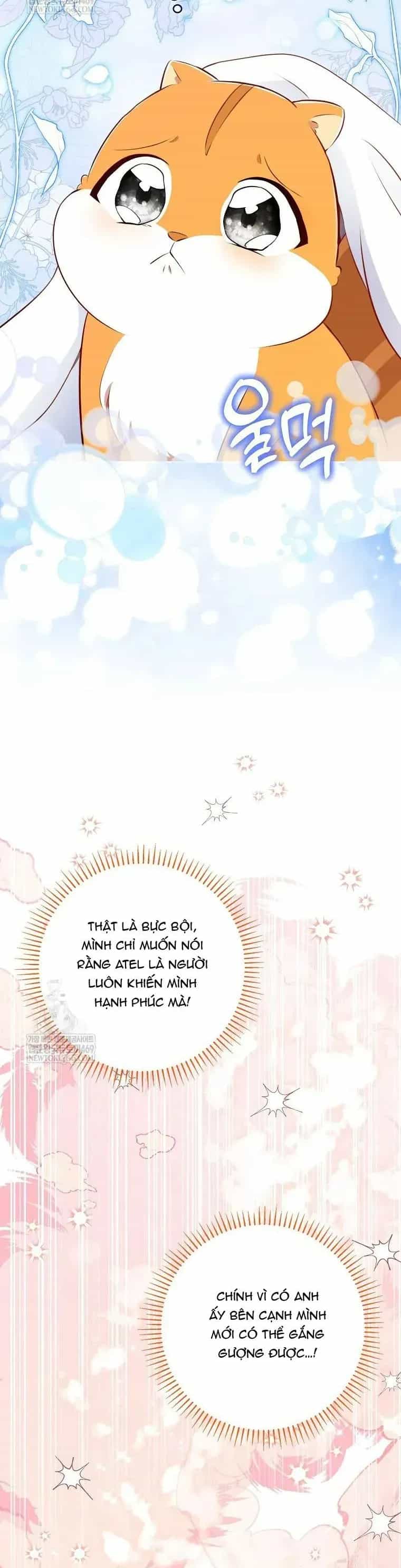 Sóc Nhỏ Tài Năng - Chương 123 - ảnh 39