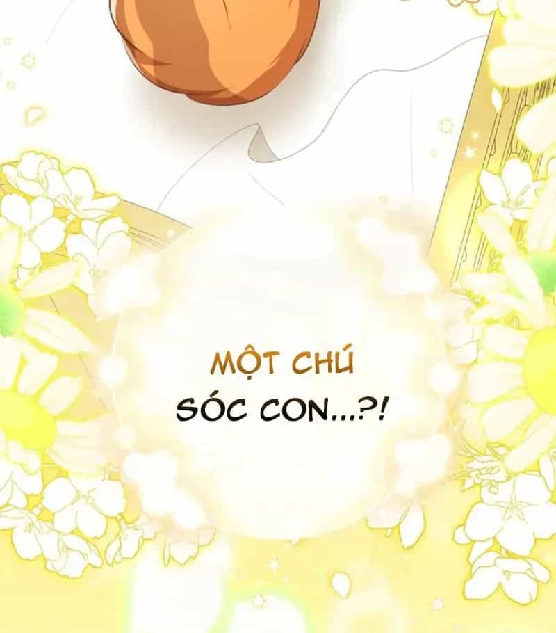 Sóc Nhỏ Tài Năng - Chương 136 - ảnh 129