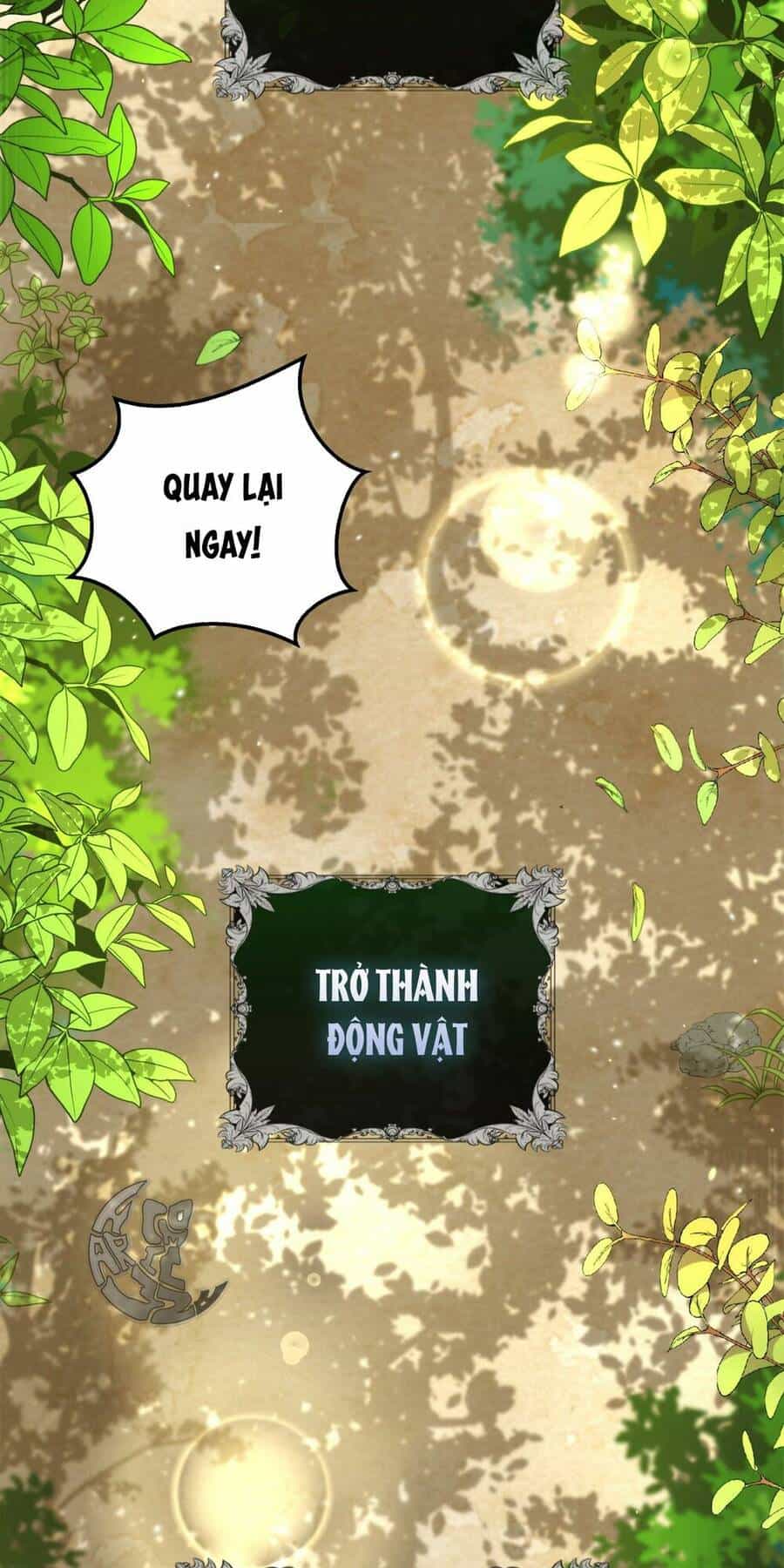 Sóc Nhỏ Tài Năng - Chương 2 - ảnh 78
