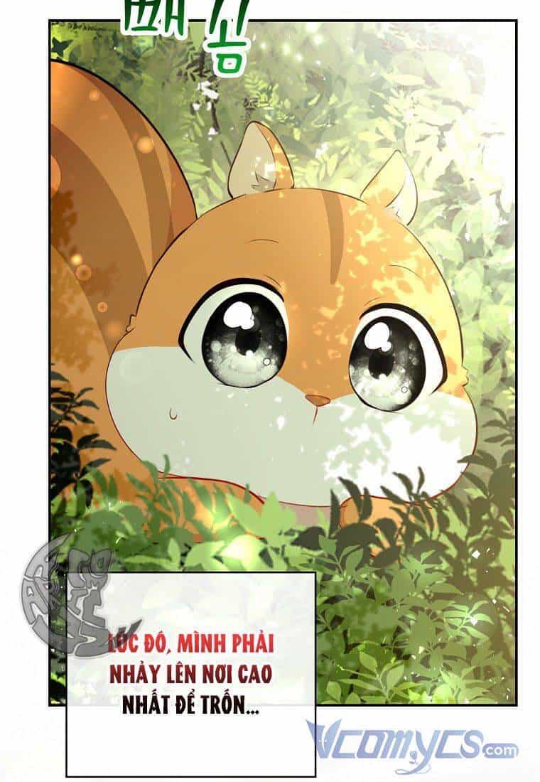 Sóc Nhỏ Tài Năng - Chương 22 - ảnh 71