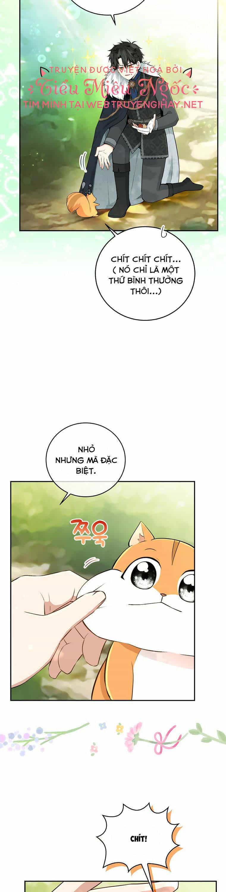 Sóc Nhỏ Tài Năng - Chương 29 - ảnh 23