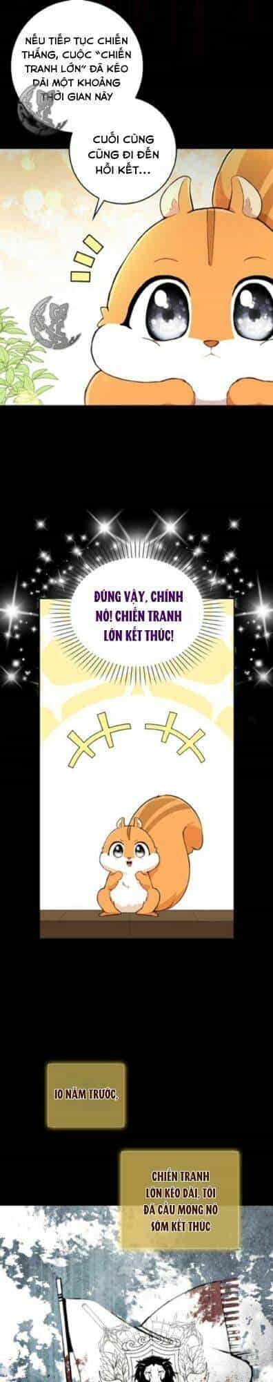 Sóc Nhỏ Tài Năng - Chương 3 - ảnh 22