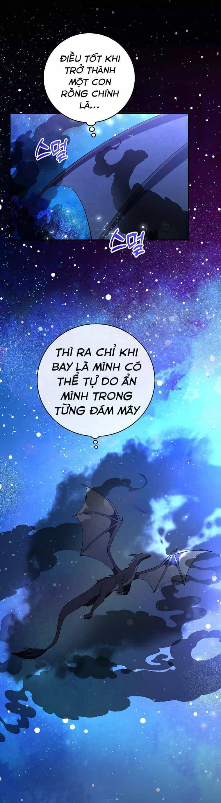 Sóc Nhỏ Tài Năng - Chương 31 - ảnh 19