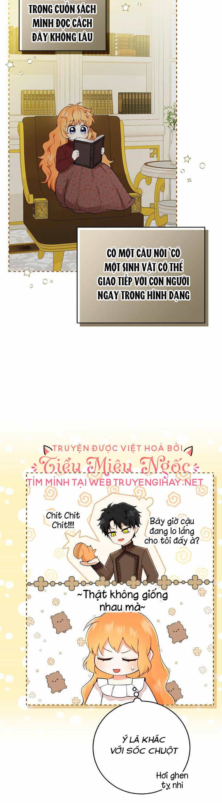 Sóc Nhỏ Tài Năng - Chương 32 - ảnh 2