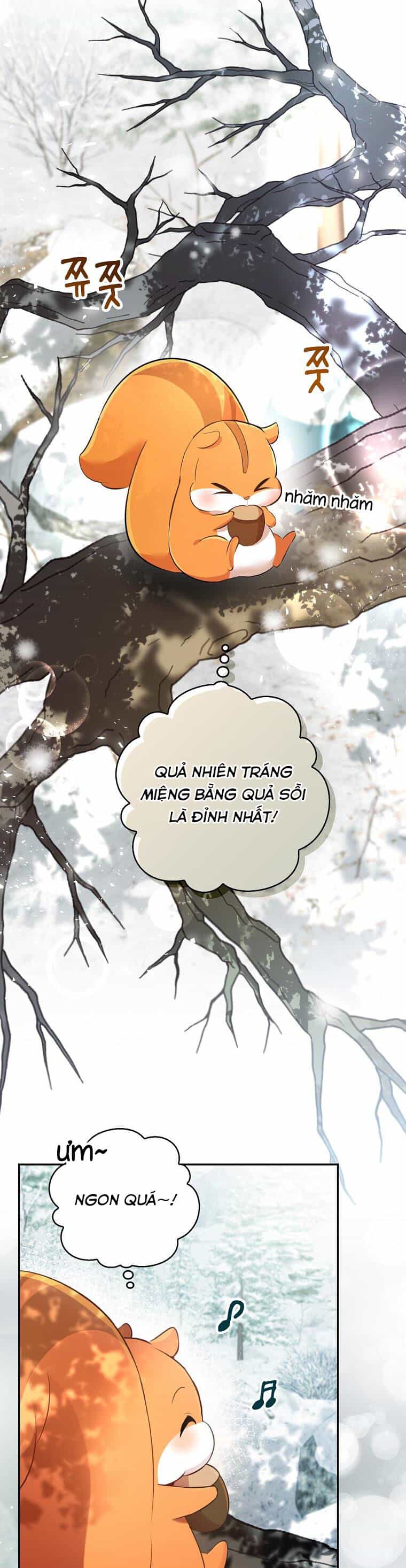 Sóc Nhỏ Tài Năng - Chương 48 - ảnh 24