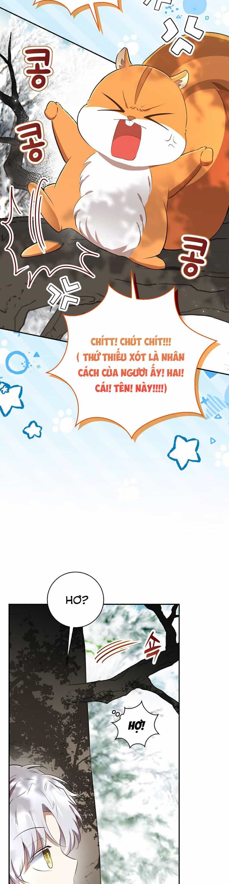 Sóc Nhỏ Tài Năng - Chương 48 - ảnh 31