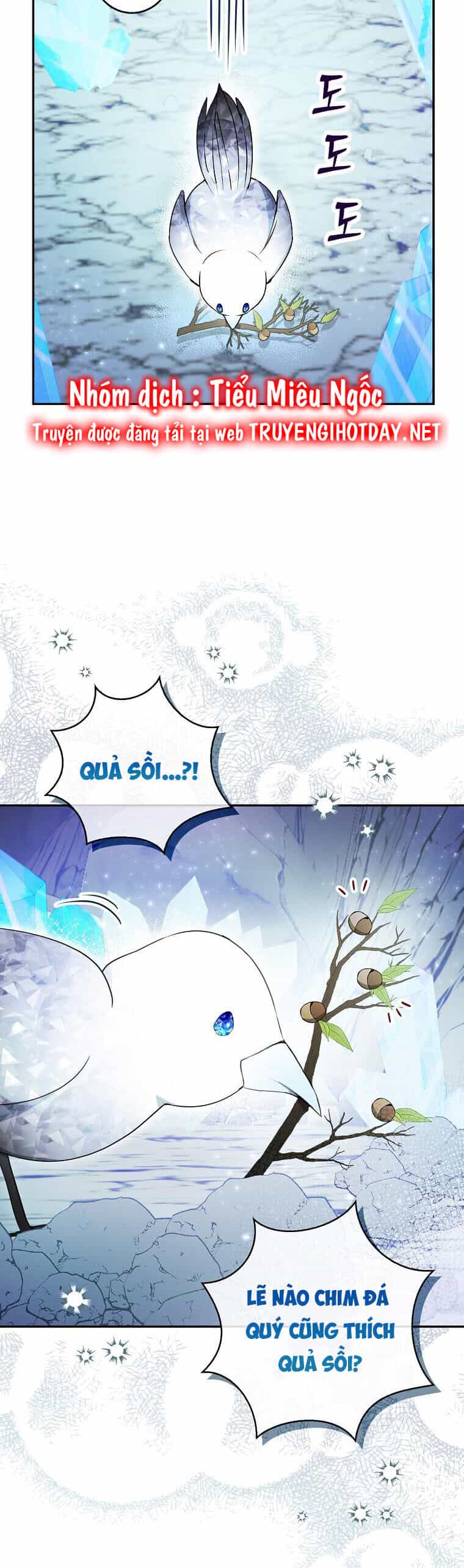 Sóc Nhỏ Tài Năng - Chương 51 - ảnh 5