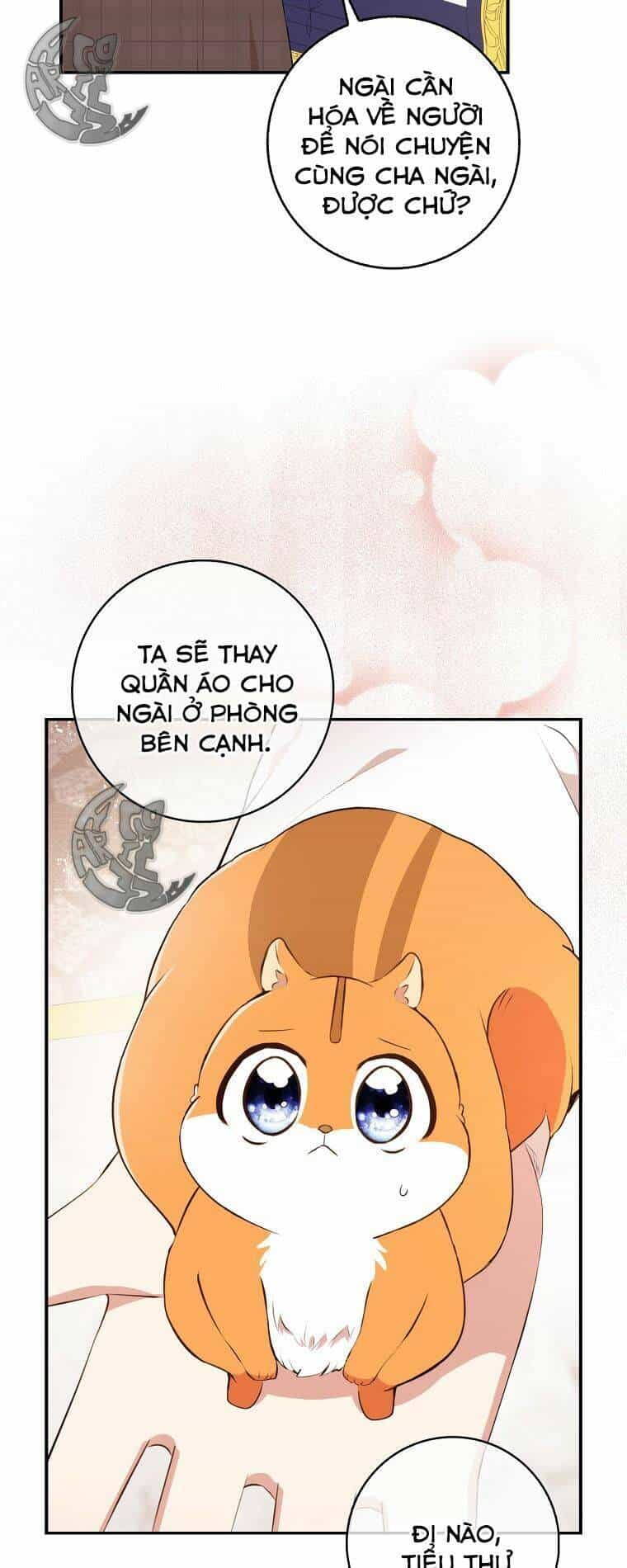 Sóc Nhỏ Tài Năng - Chương 6 - ảnh 10