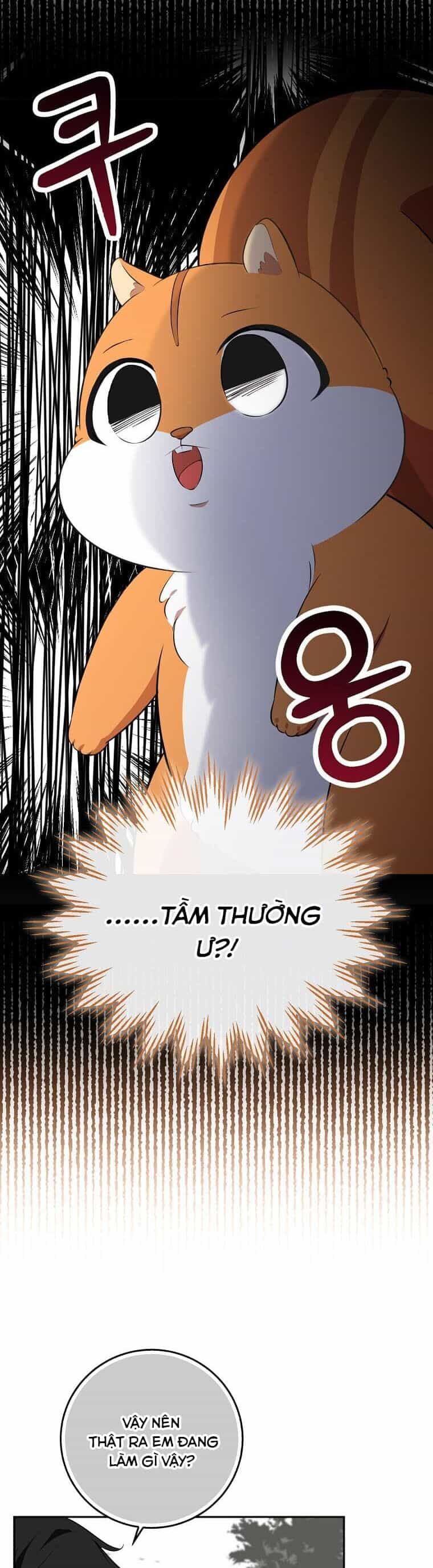 Sóc Nhỏ Tài Năng - Chương 61 - ảnh 52