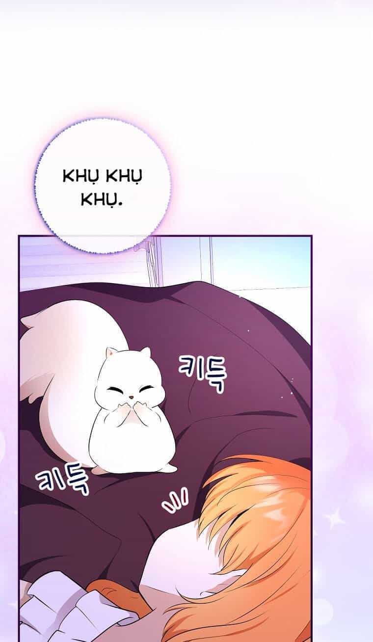 Sóc Nhỏ Tài Năng - Chương 73 - ảnh 104