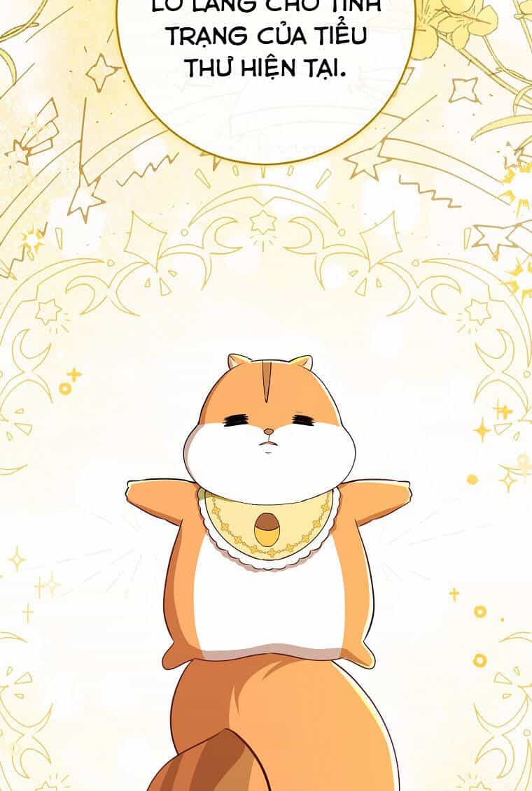 Sóc Nhỏ Tài Năng - Chương 73 - ảnh 21