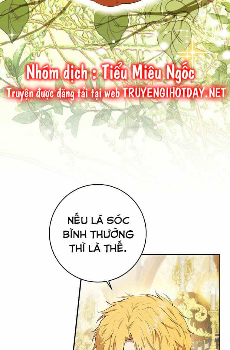 Sóc Nhỏ Tài Năng - Chương 73 - ảnh 62