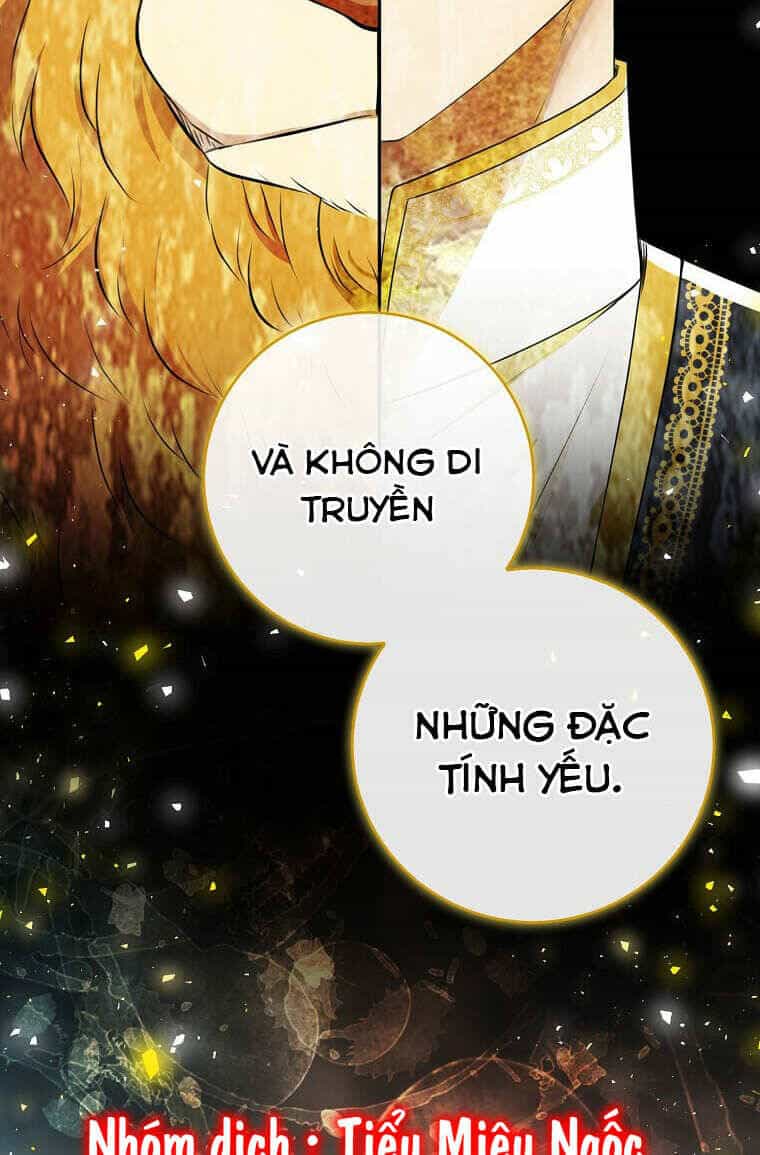 Sóc Nhỏ Tài Năng - Chương 73 - ảnh 70