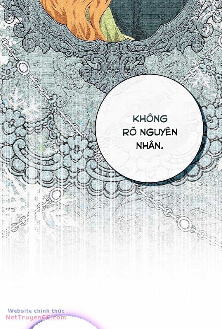 Sóc Nhỏ Tài Năng - Chương 74 - ảnh 7