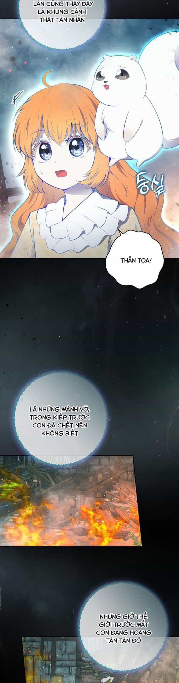 Sóc Nhỏ Tài Năng - Chương 77 - ảnh 39