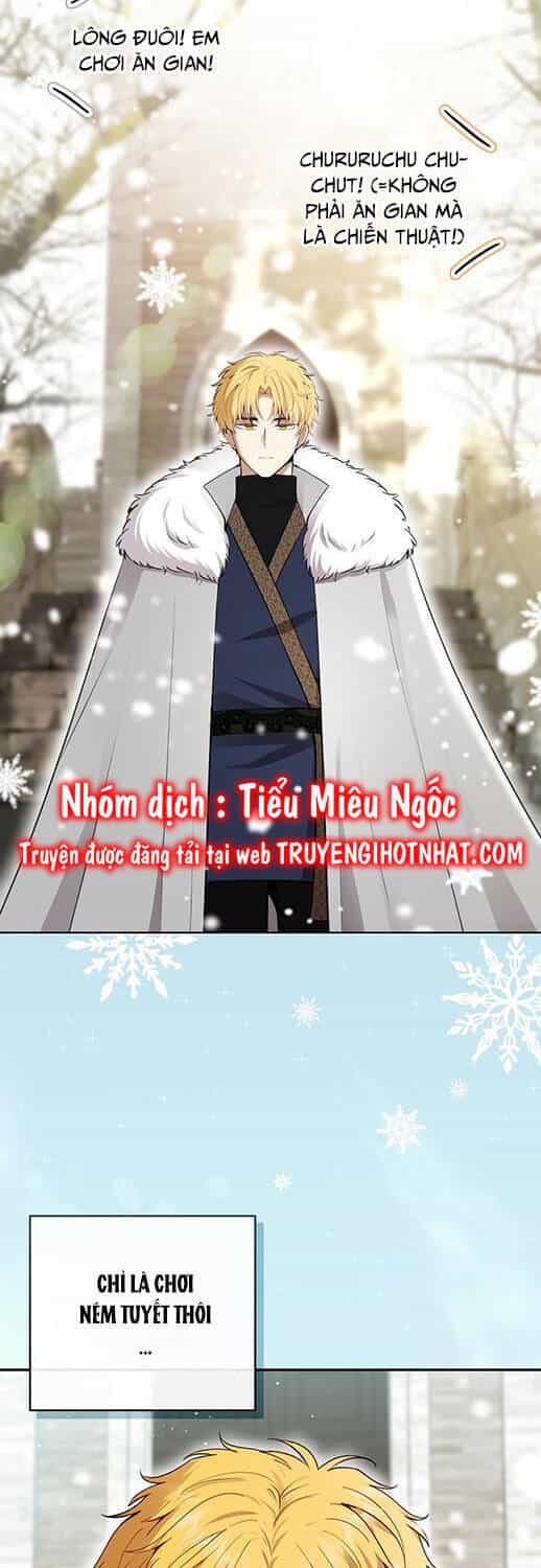 Sóc Nhỏ Tài Năng - Chương 78 - ảnh 32