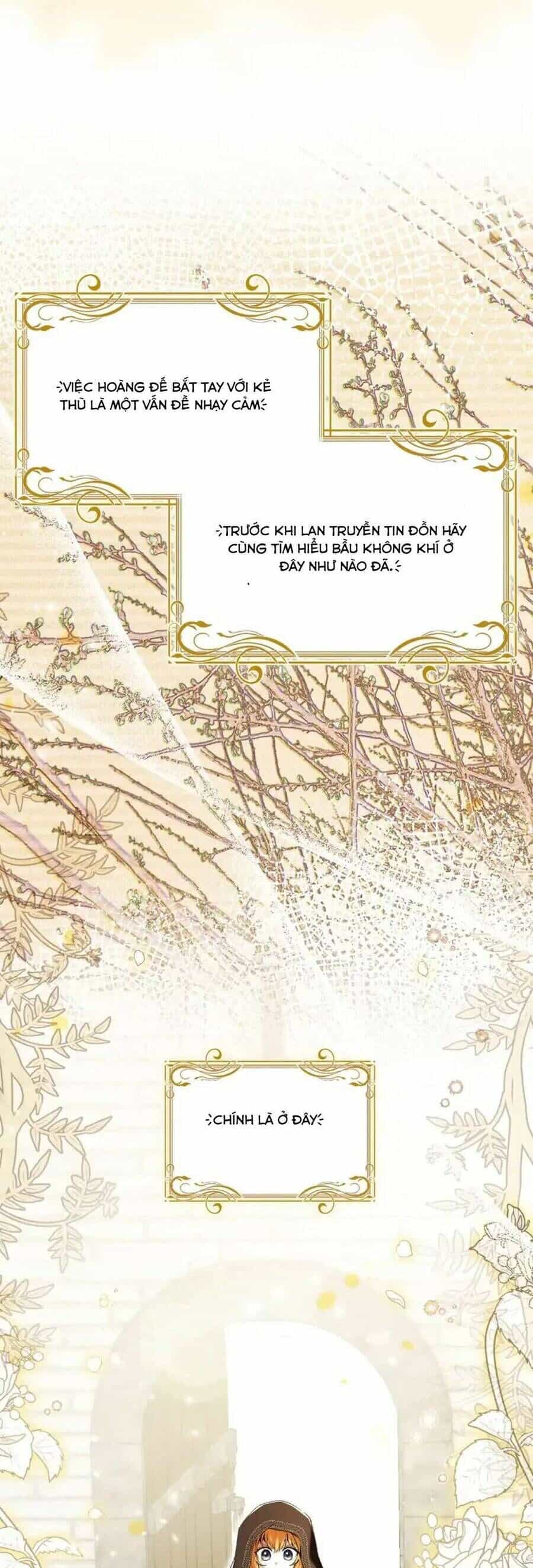 Sóc Nhỏ Tài Năng - Chương 93 - ảnh 6