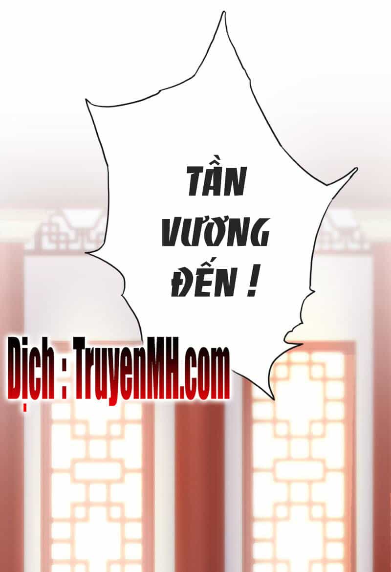 Solo Đi Vương Gia - Chương 112 - ảnh 9
