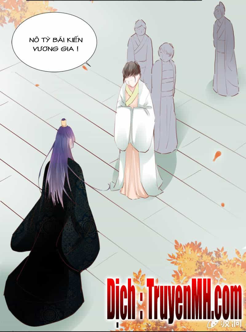 Solo Đi Vương Gia - Chương 41 - ảnh 16