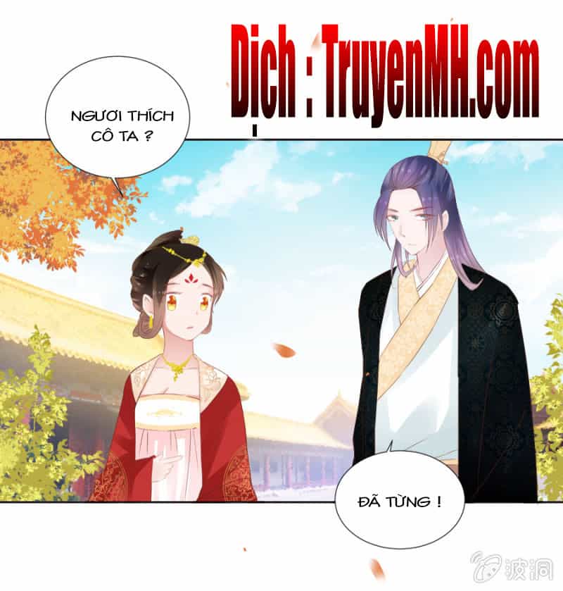 Solo Đi Vương Gia - Chương 48 - ảnh 14