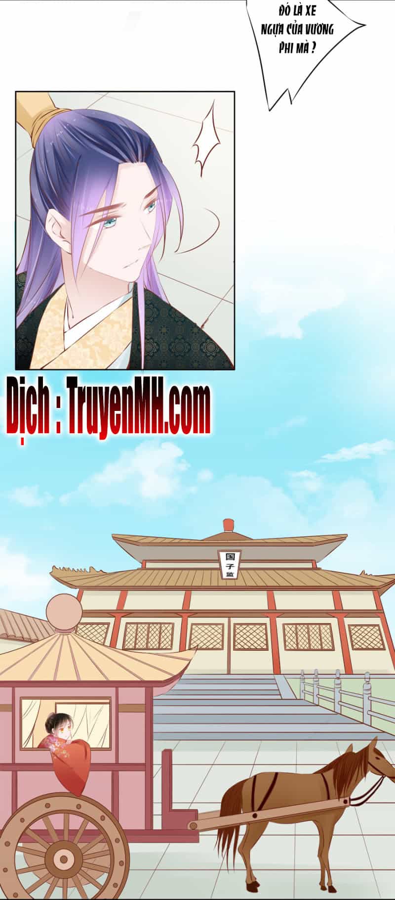 Solo Đi Vương Gia - Chương 63 - ảnh 15