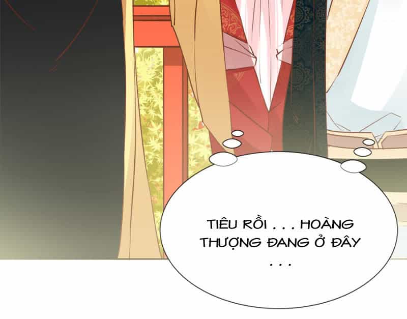 Solo Đi Vương Gia - Chương 71 - ảnh 17